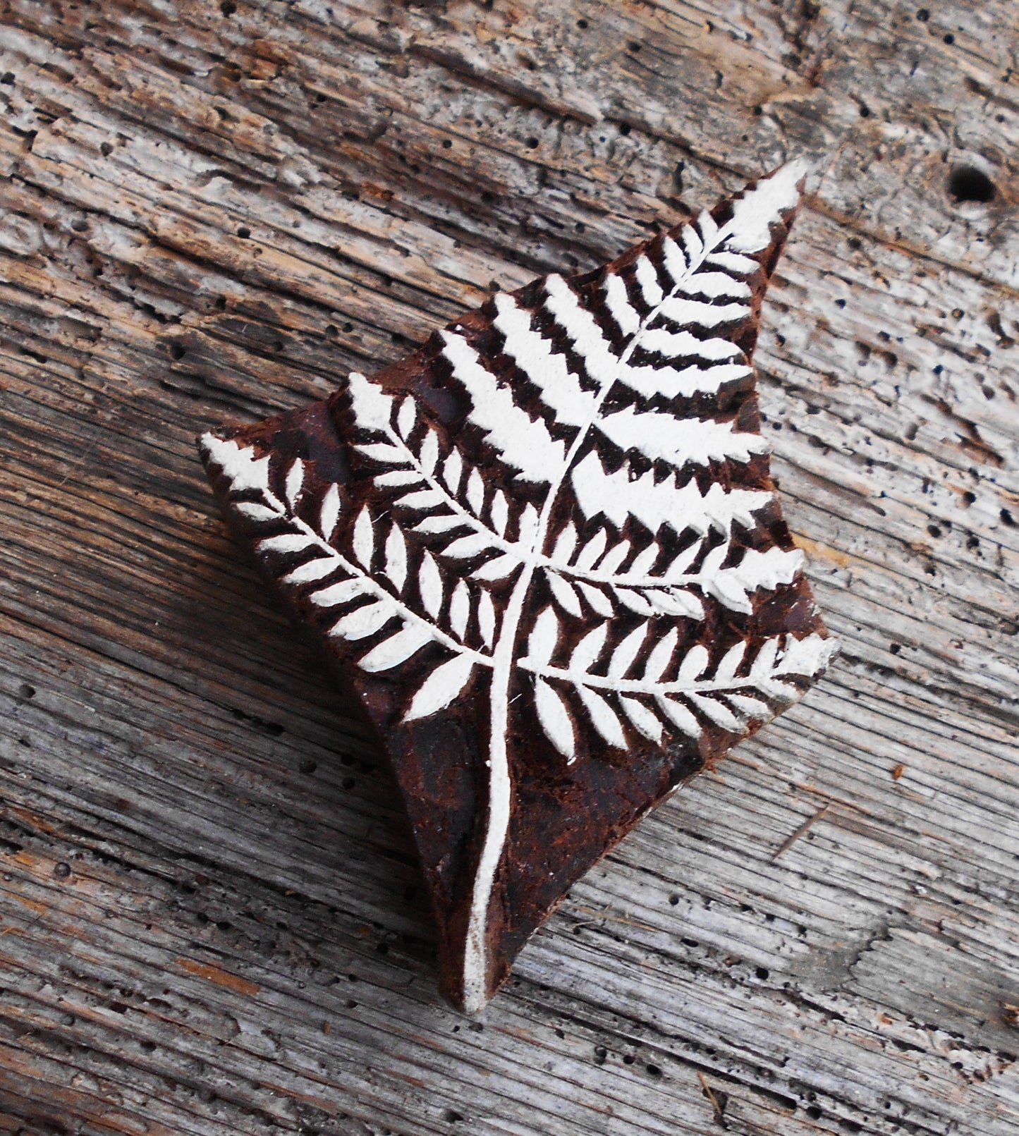 Indischer Holzstempel Textildruck, Farn