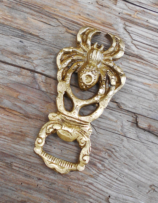 Flaschenöffner, Spinne