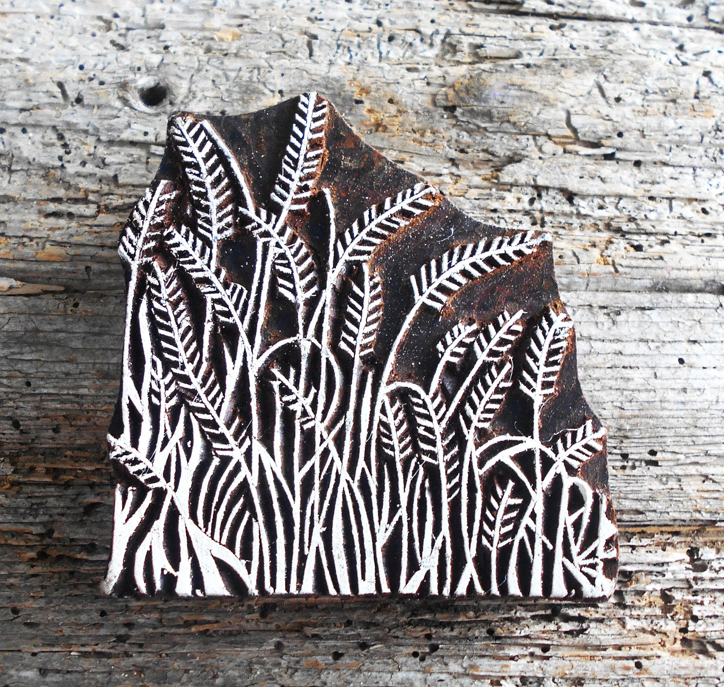 Stoffdruckstempel, Holzdruckstempel, Motivstempel, Blaudruckstempel, Botanik