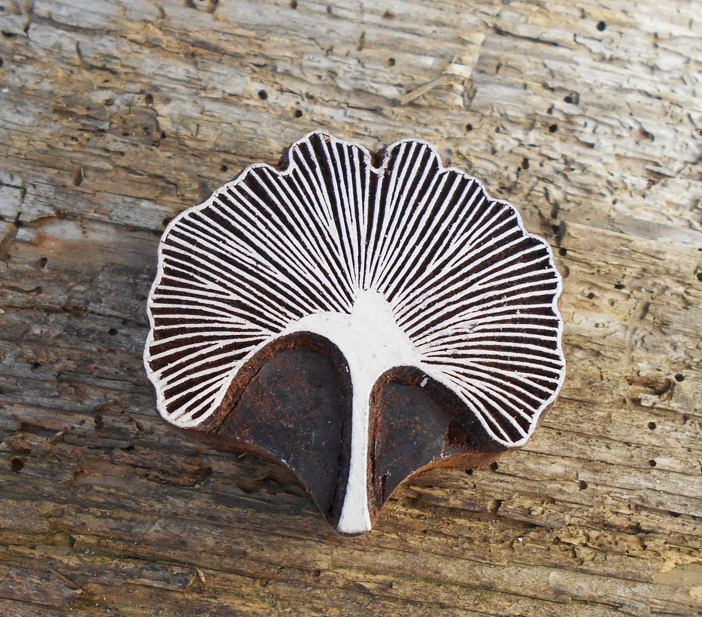 Stoffdruckstempel, Holzdruckstempel, Motivstempel, Blaudruckstempel, Ginko